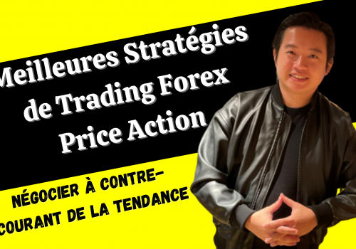 Meilleures Stratégies de Trading Forex Price Action – Négocier à contre-courant de la tendance