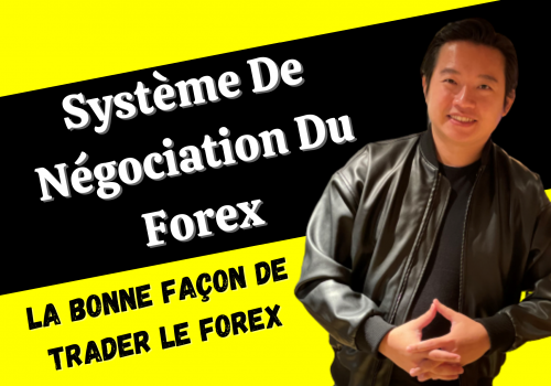 Système de négociation du Forex – La “bonne” façon de négocier le Forex